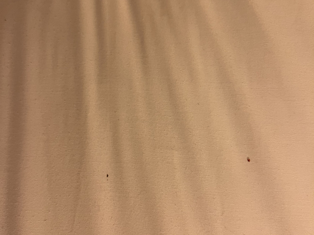 Holiday Inn Express & Suites Omaha South - Ralston Arena by IHG主图