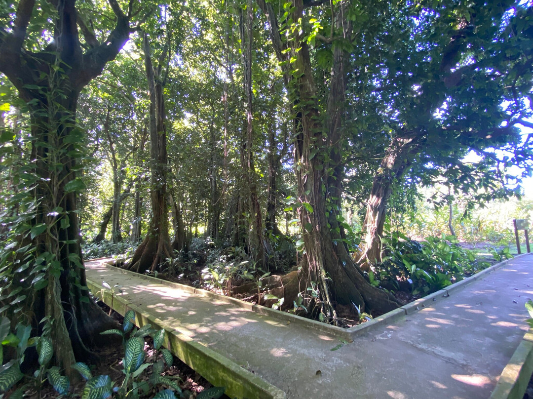 De Raiatea Botanical Garden-Taputapuapea必去景点