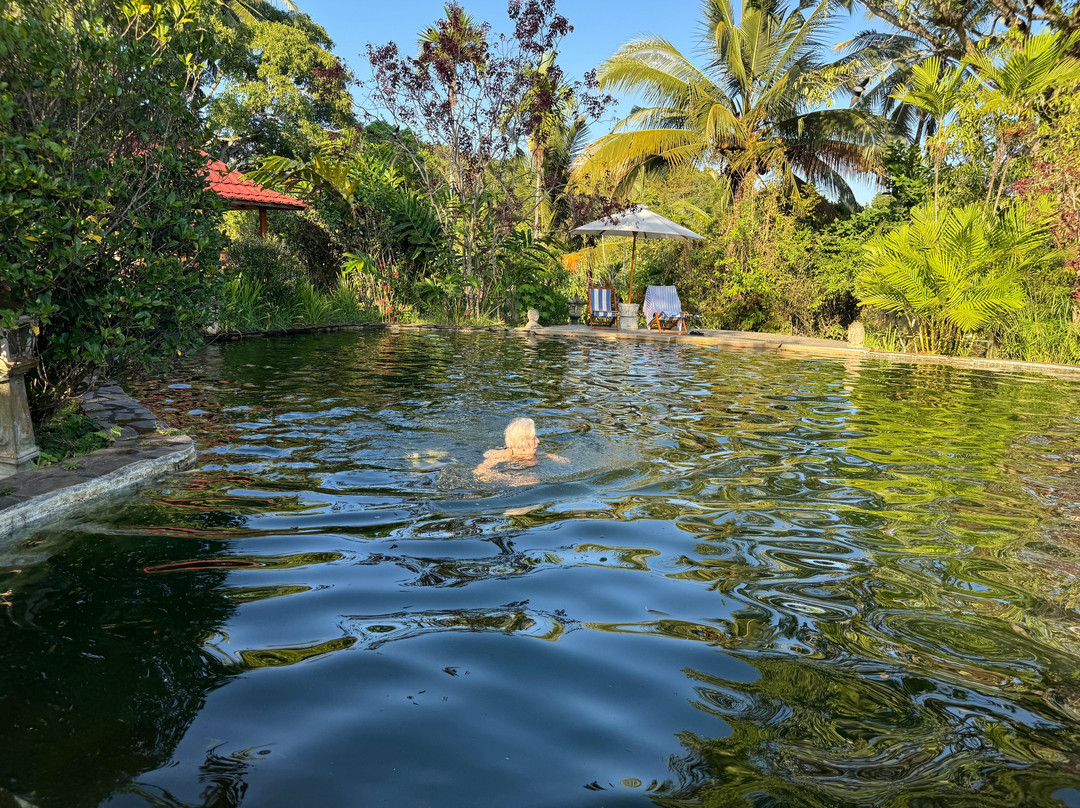 Rinjani Mountain Garden主图