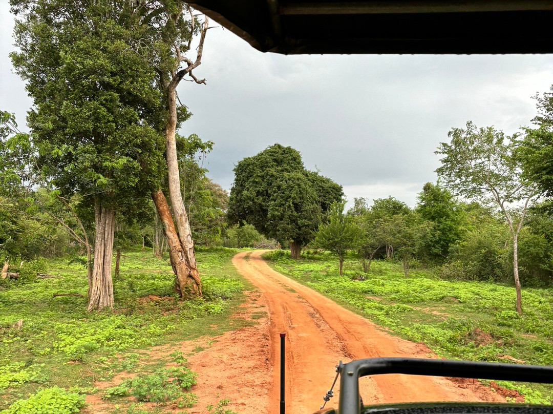 Udawalawe safari vishal-乌达瓦拉瓦必去景点