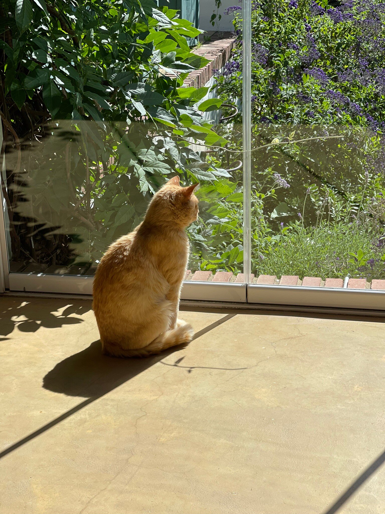 Gemoedsrus Farm-官方