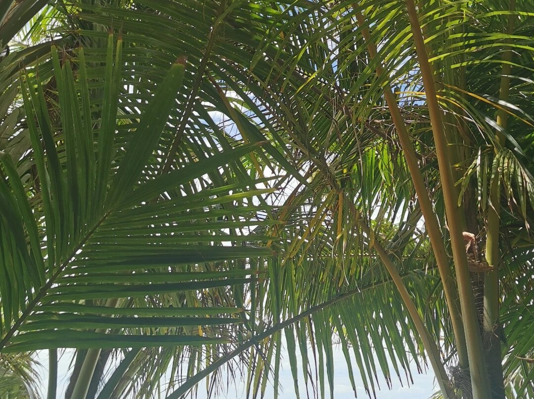 Salt Villa Ukulhas主图