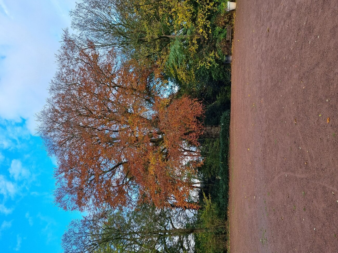 Parc Bivort Info | Charleroi景点图片