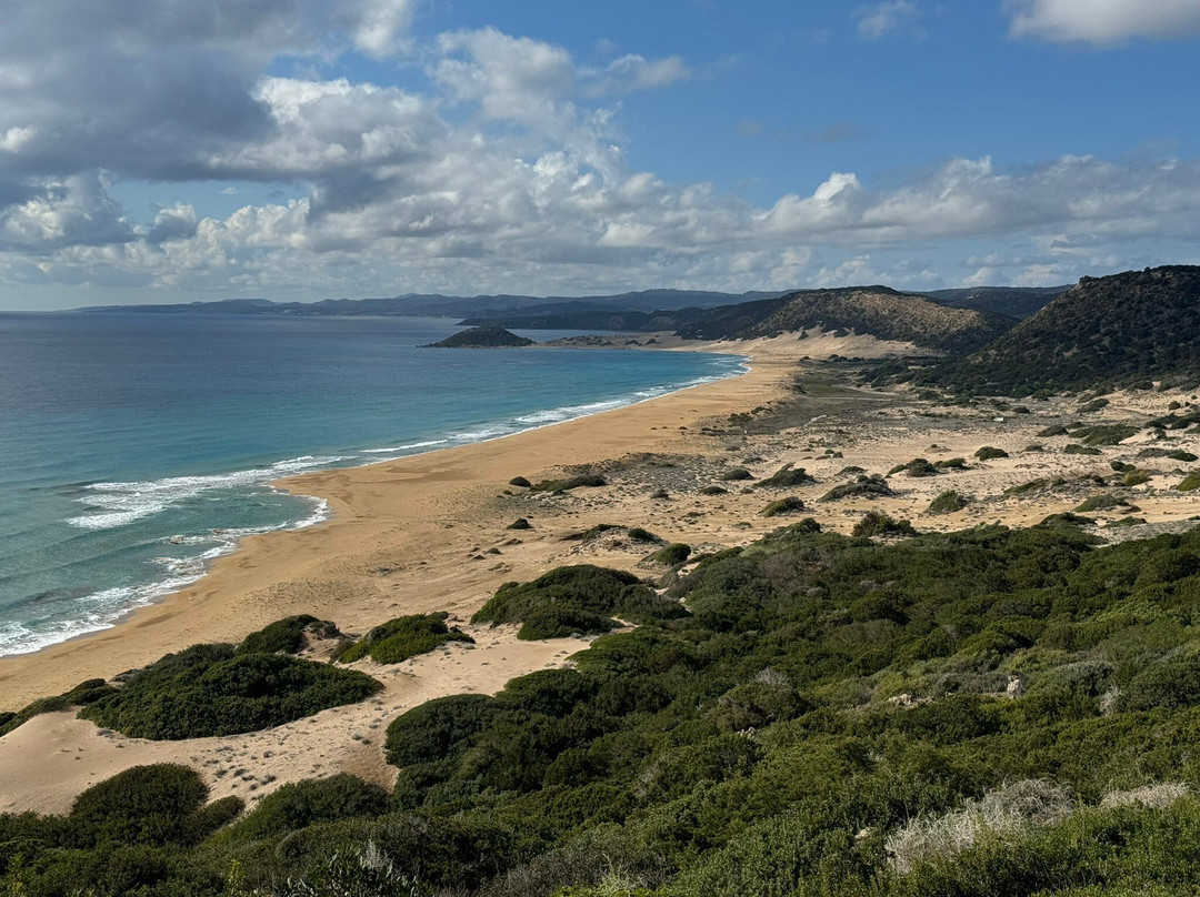 Altınkum Plajı-Dipkarpaz必去景点