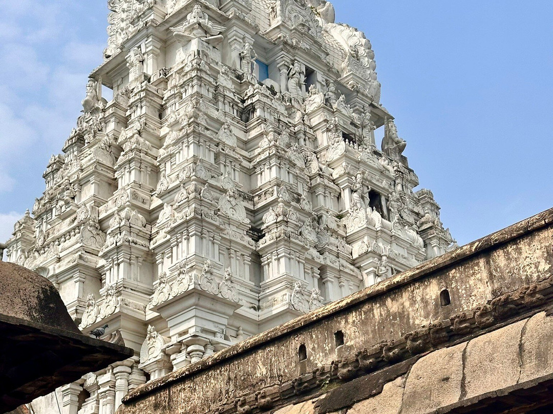 Varadharaja Perumal Temple景点图片