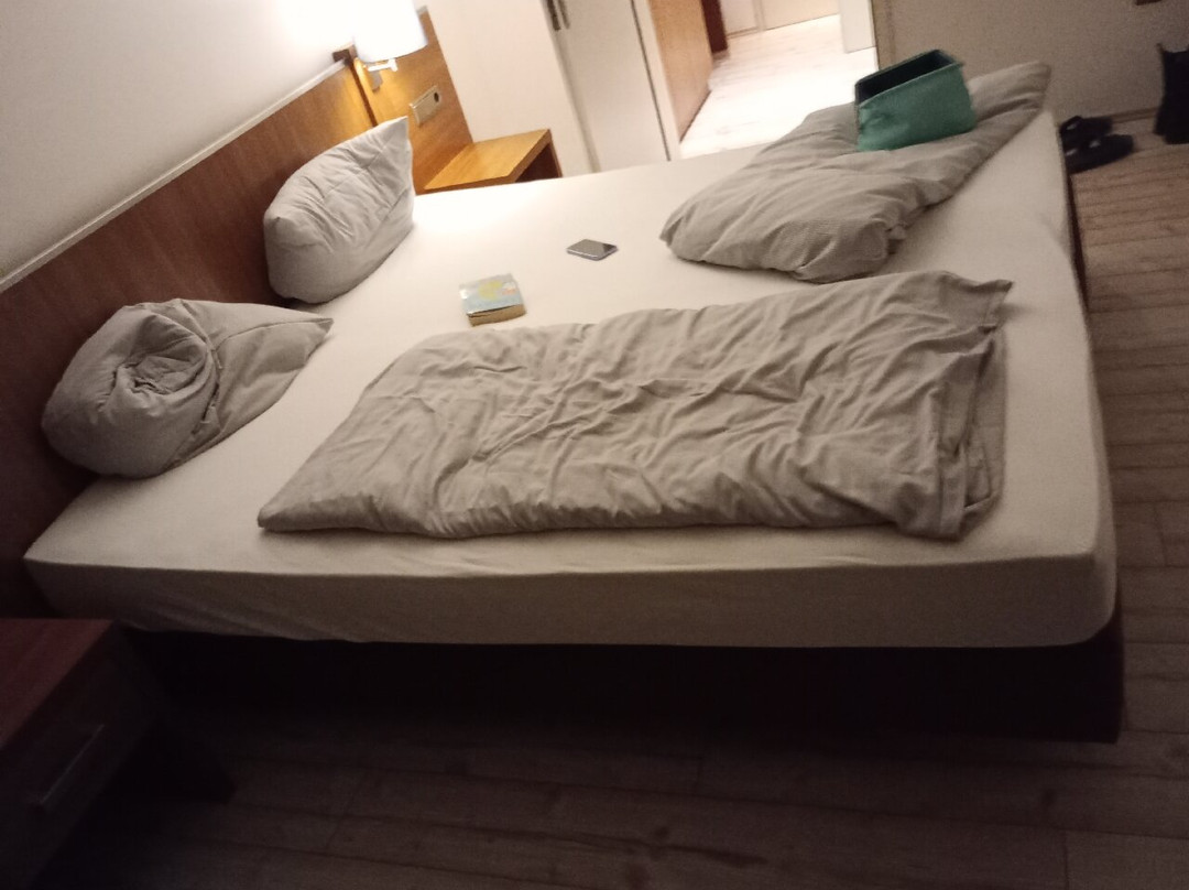 Wagners Hotel + Restaurant Im Frankenwald主图