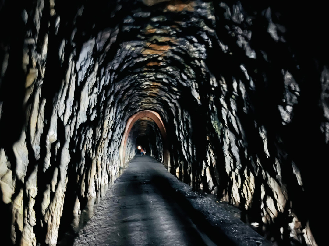 Blue Ridge Tunnel East Trailhead