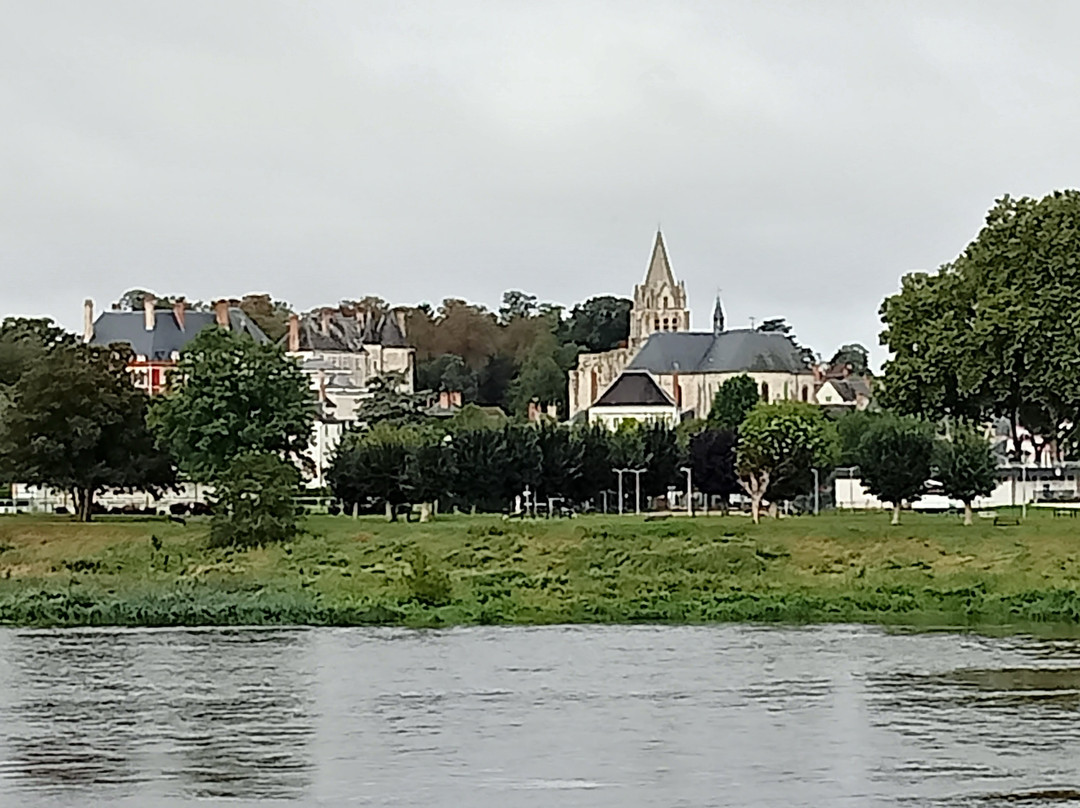 La Collégiale Saint-Liphard景点图片