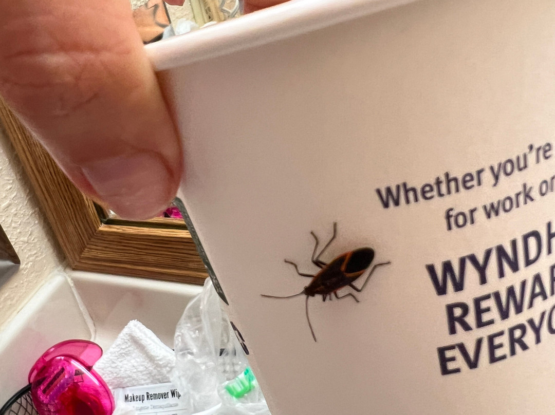 Baymont by Wyndham Logan主图