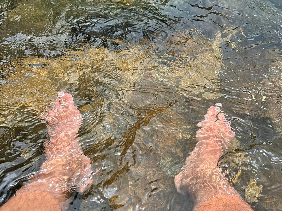Kattikkayam Waterfalls-科塔亚姆必去景点