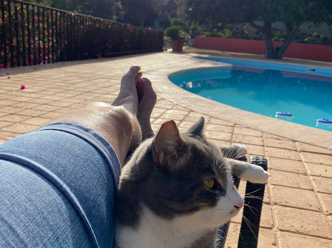 Finca El Otero主图