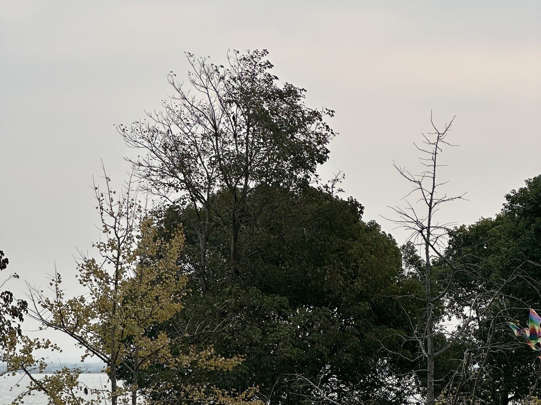 阳澄湖景点图片