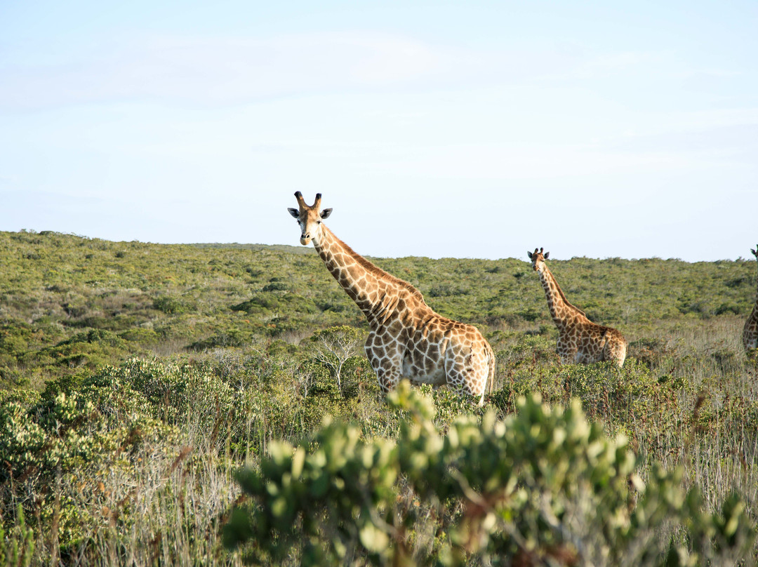 West Coast Private Game Reserve