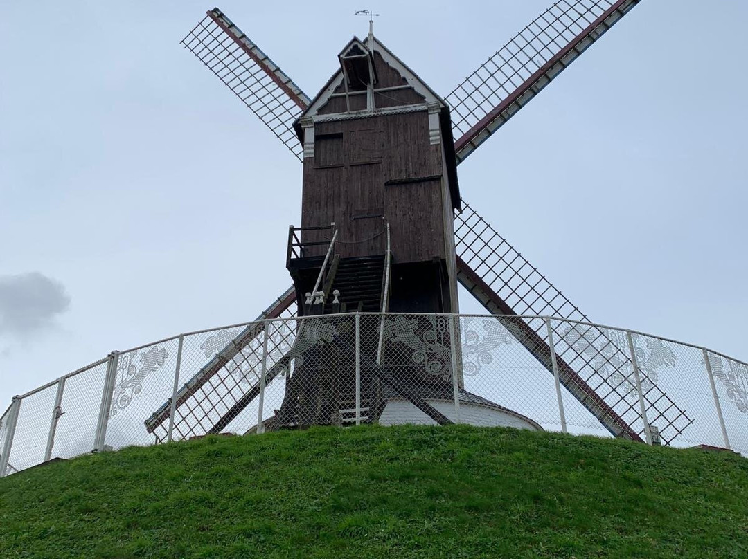 Windmills of Bruges景点图片
