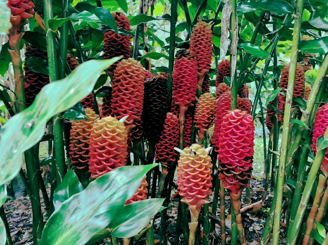 Tacacori Ecolodge主图