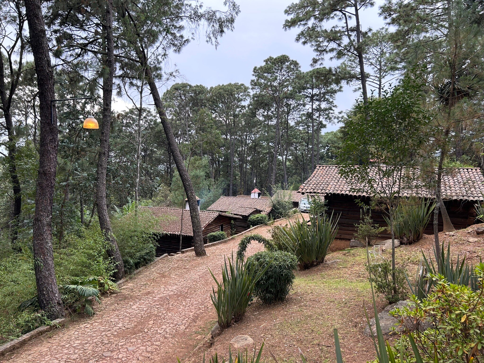 Monteverde Hotel de Cabanas-官方