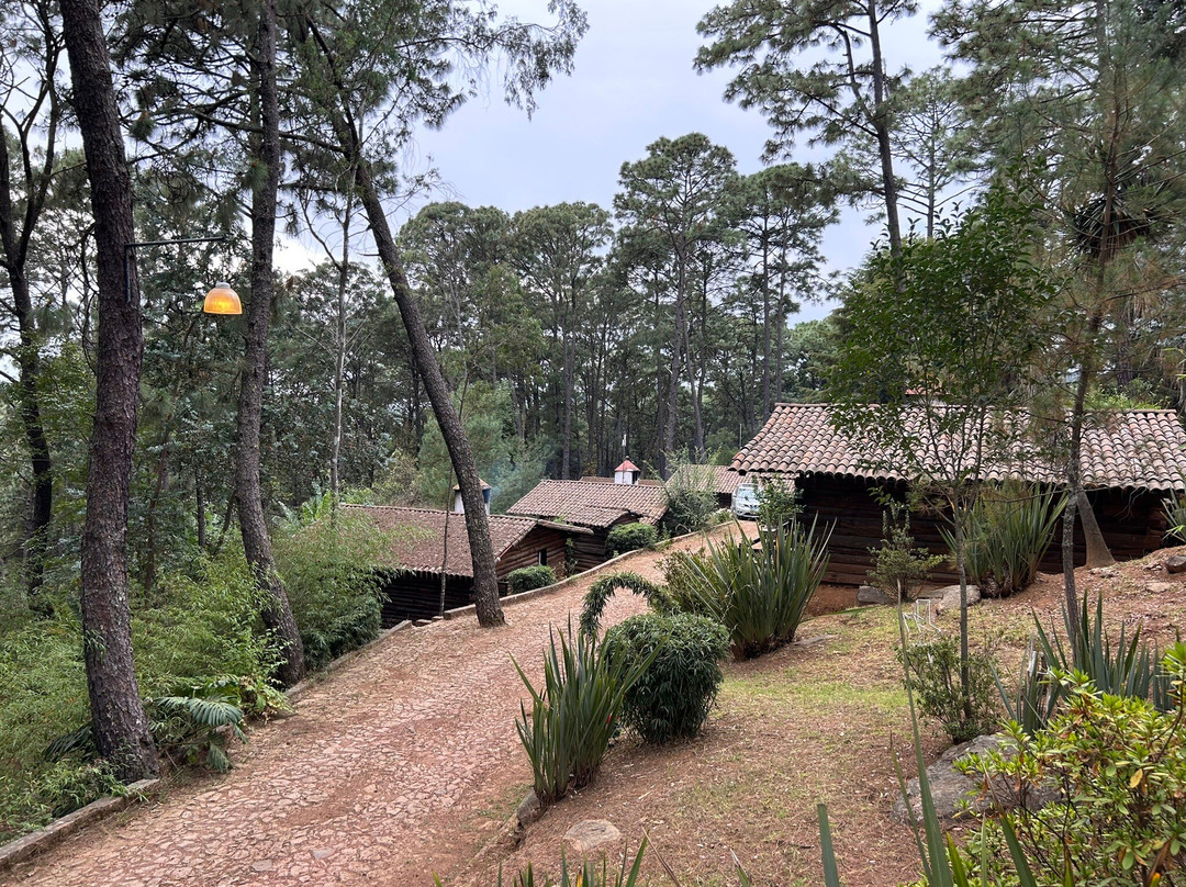 Monteverde Hotel de Cabanas主图