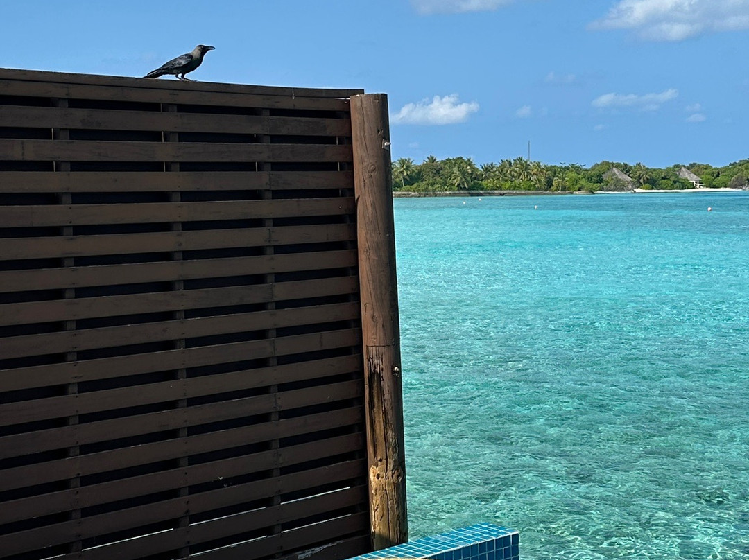 The Signature Collection at Hideaway主图