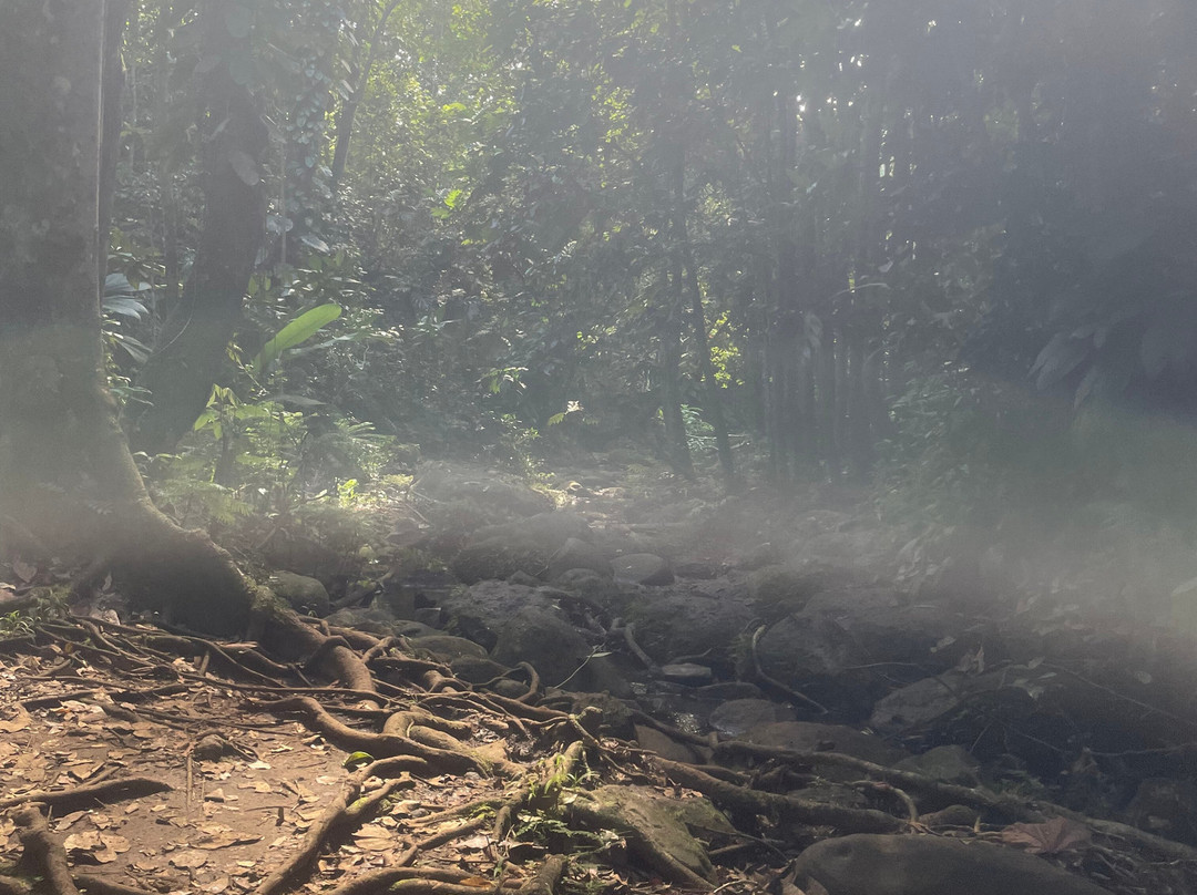 La Cascade de Bis-Sainte Rose必去景点