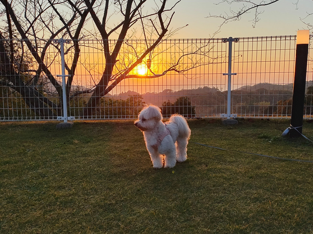 Petit Hotel Hana & Kiss主图