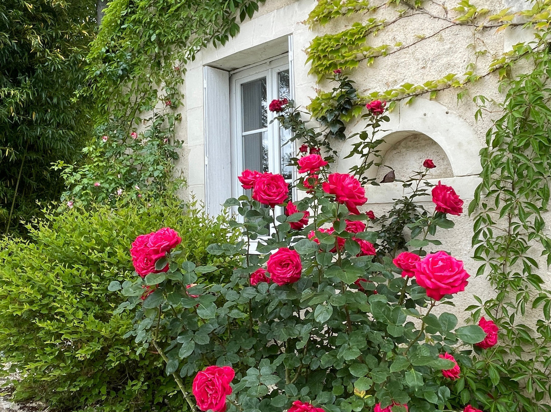 Villa Cassandre主图