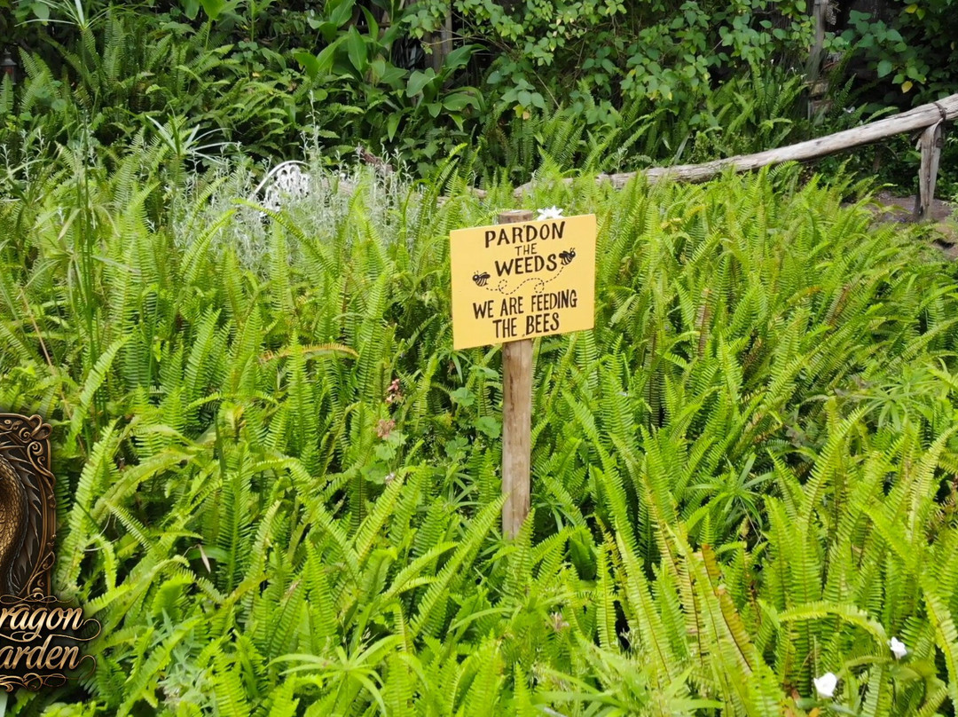 Hidden Dragon Magic Garden-斯韦伦丹必去景点