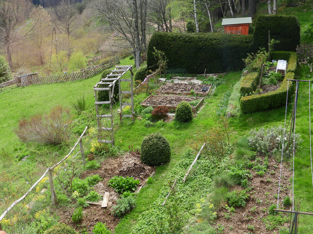 Les Herbes Sauvages主图