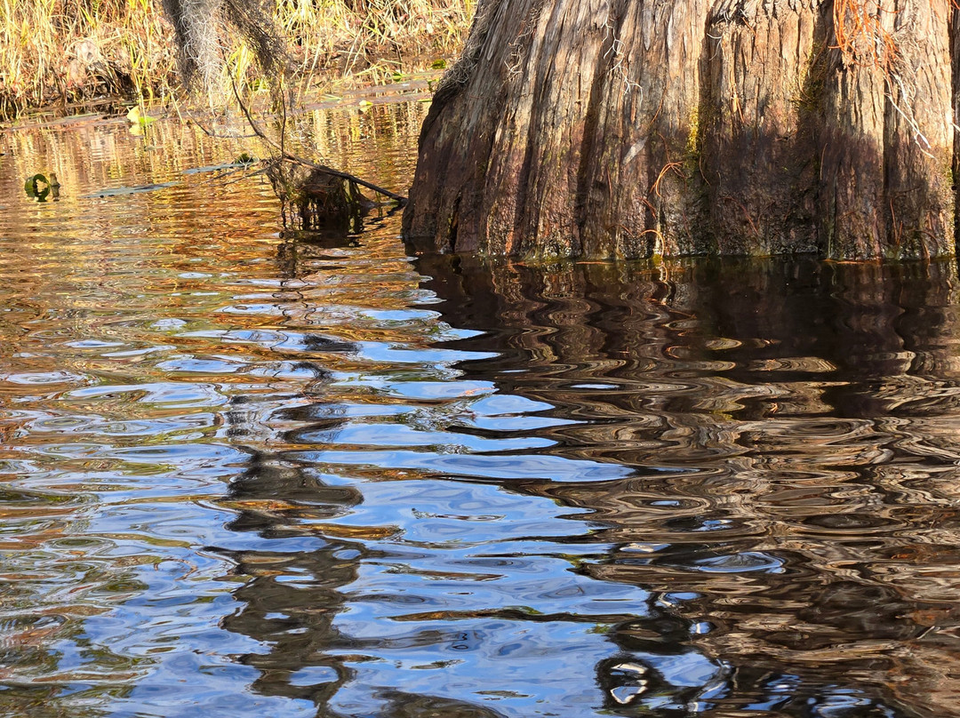 Stephen Foster Folk Culture Center State Park-White Springs必去景点