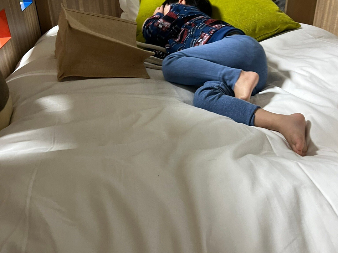 白马东急饭店主图