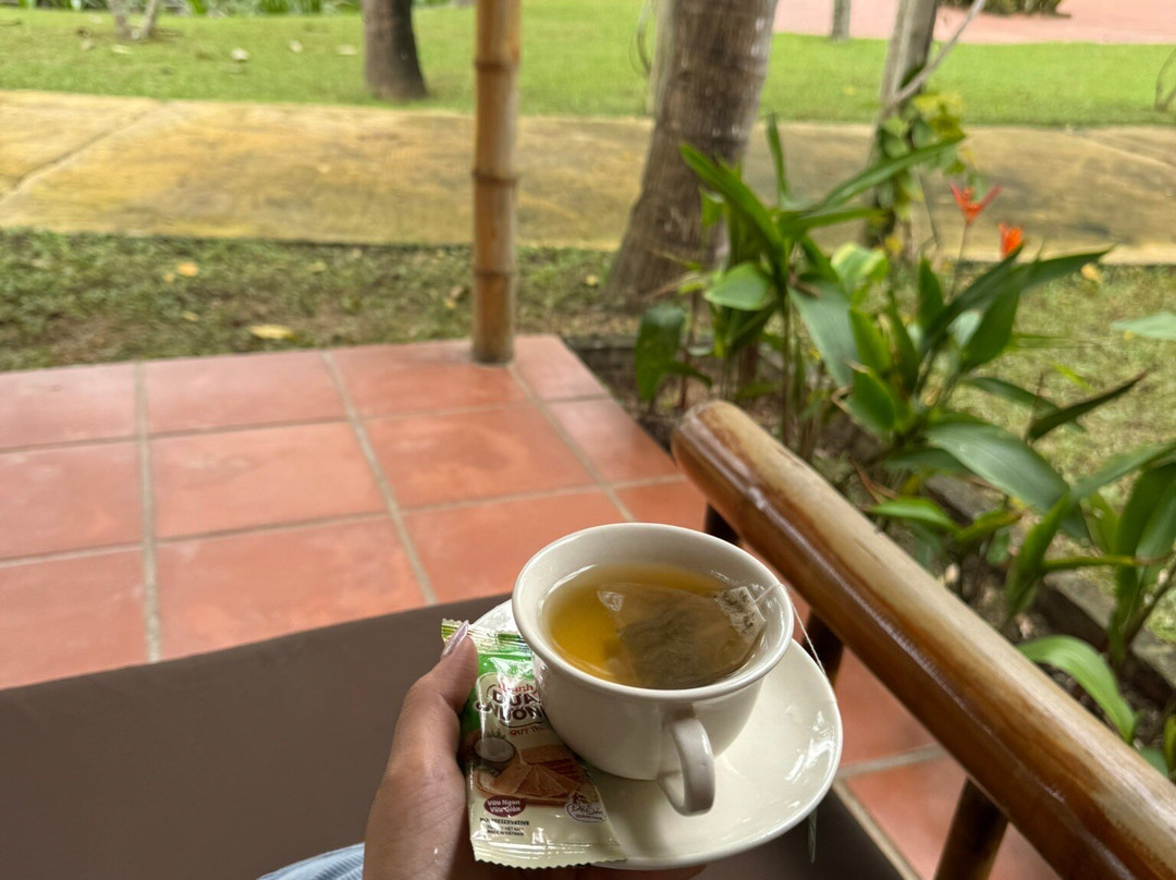 ENSO Retreat Hoi An - Rediscovery & Serenity主图