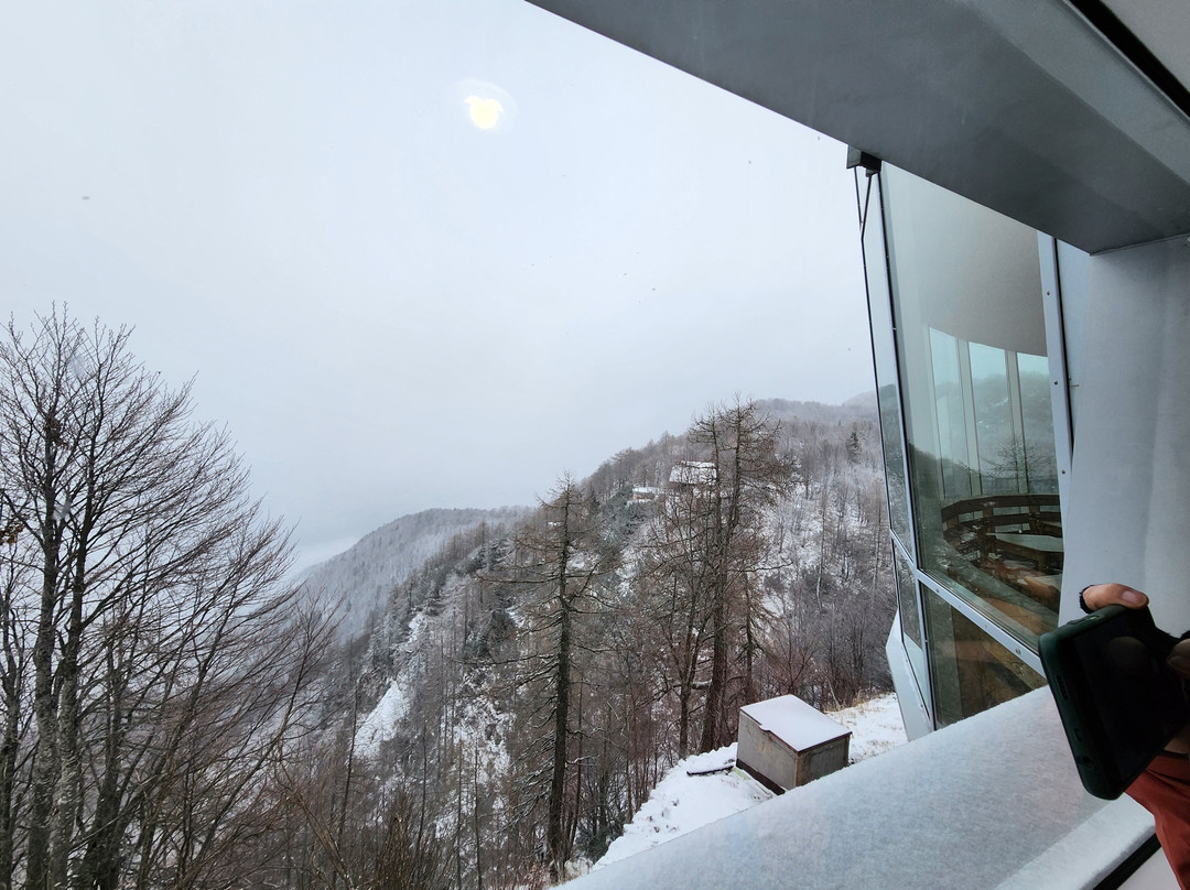 Vogel Ski Center-博希尼湖必去景点