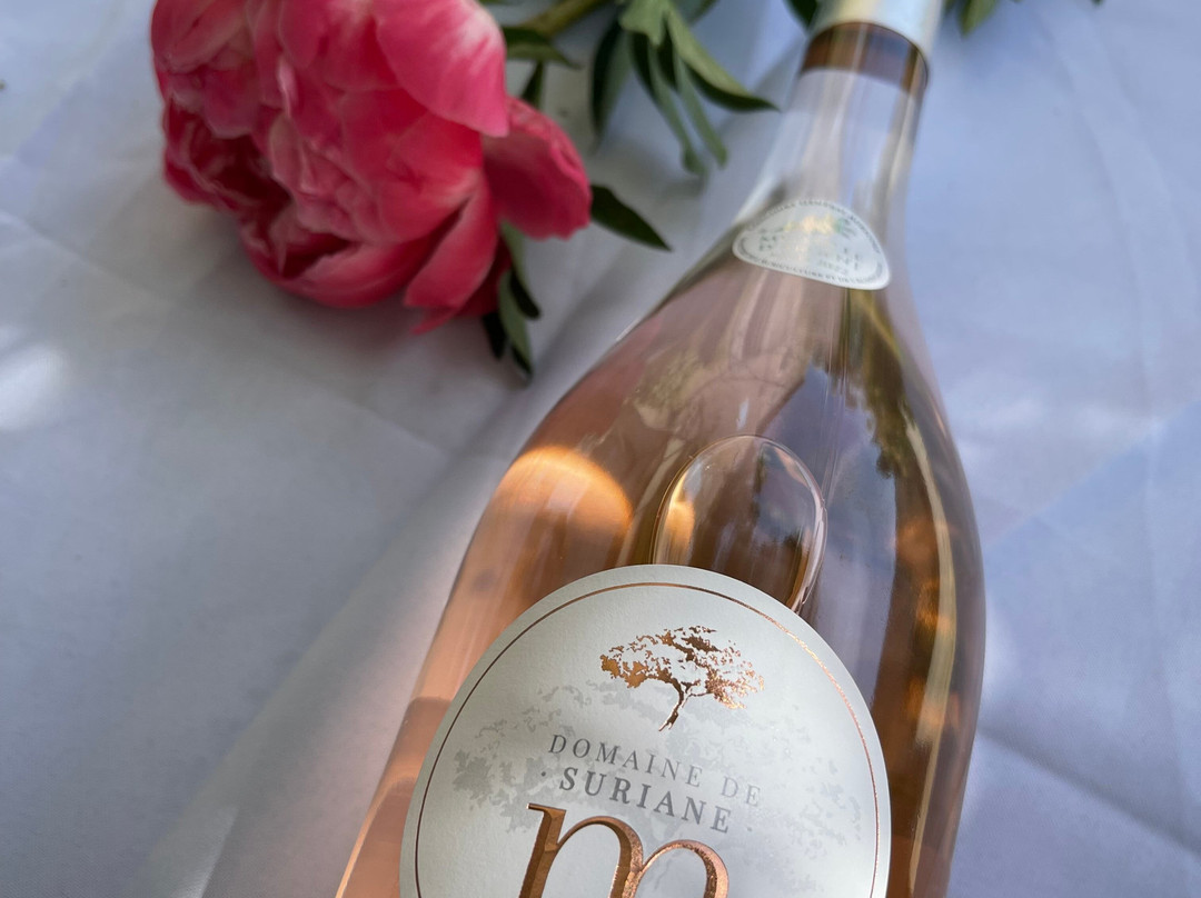 Domaine De Suriane景点图片