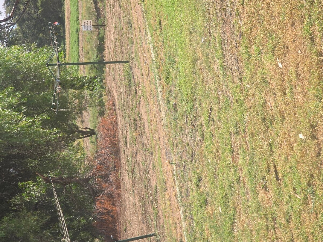 Renmark Country Club主图