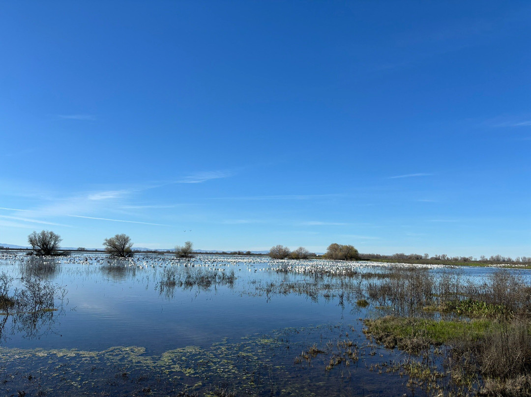 默塞德国家野生动物保护区-默塞德必去景点
