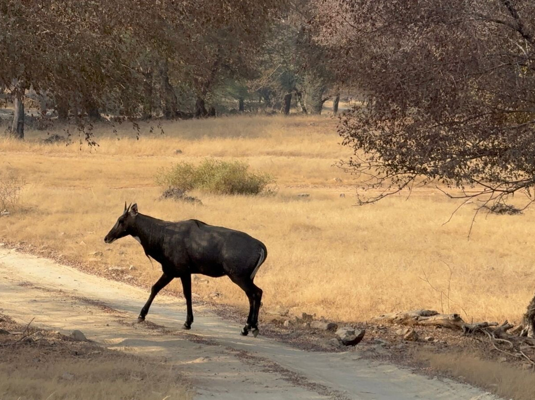 Fragrance of Taj Tours-阿格拉必去景点