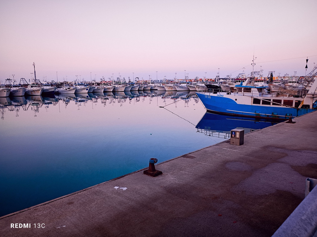 Porto Turistico di Civitanova Marche景点图片