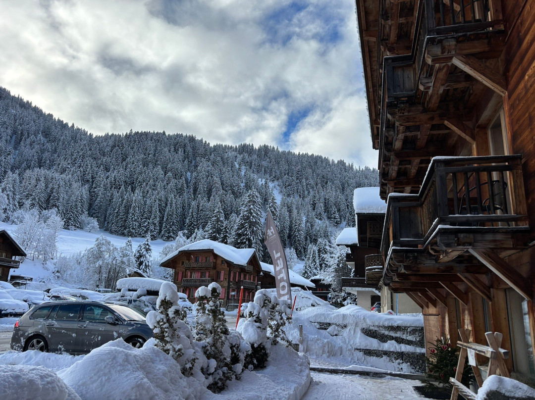 Helvetia Hotel Residence主图