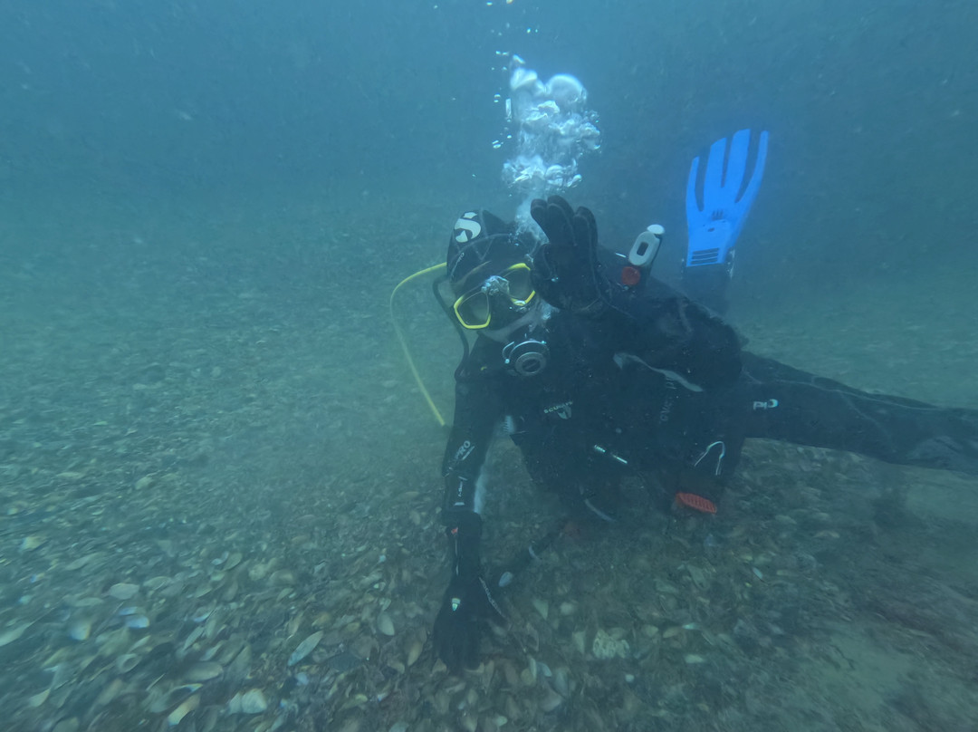 Sub Diving景点图片