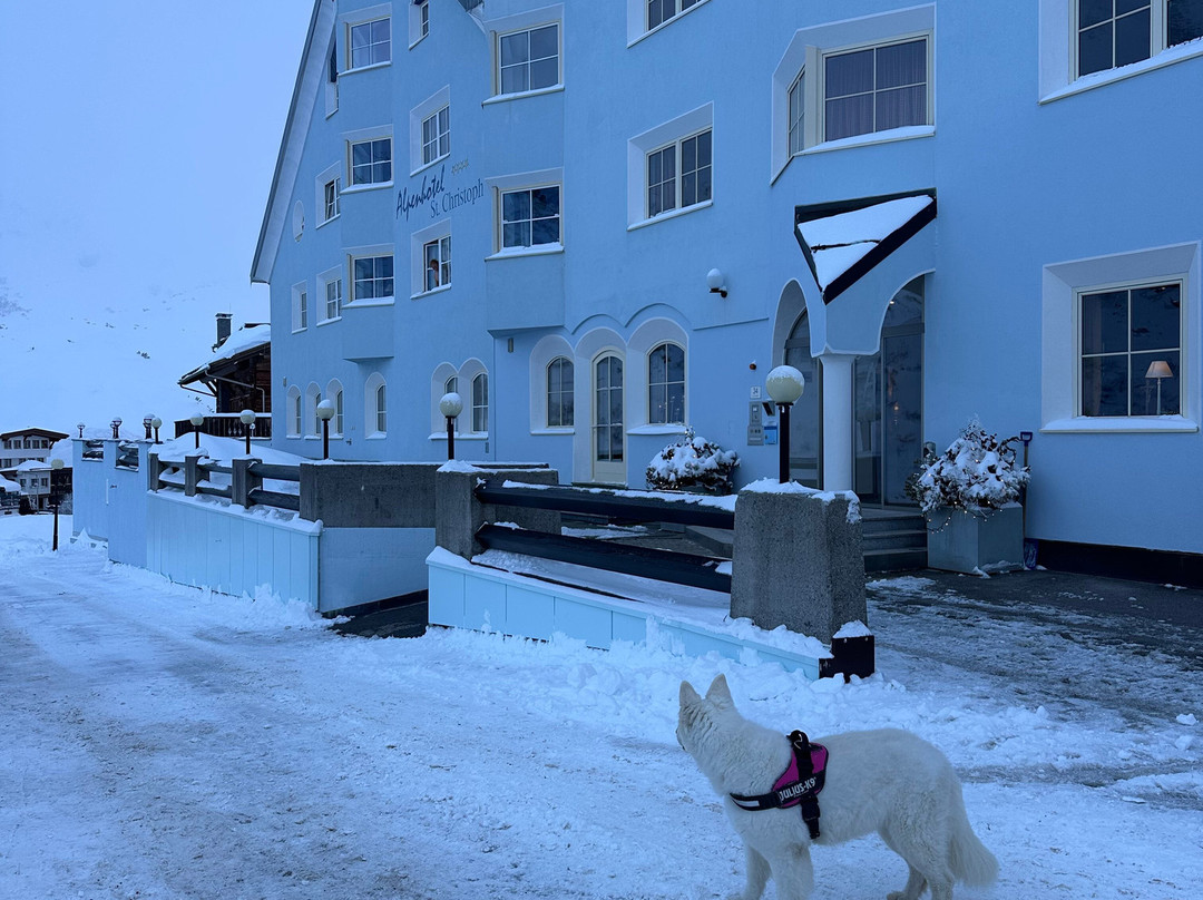 圣克里斯托夫阿尔卑斯酒店主图