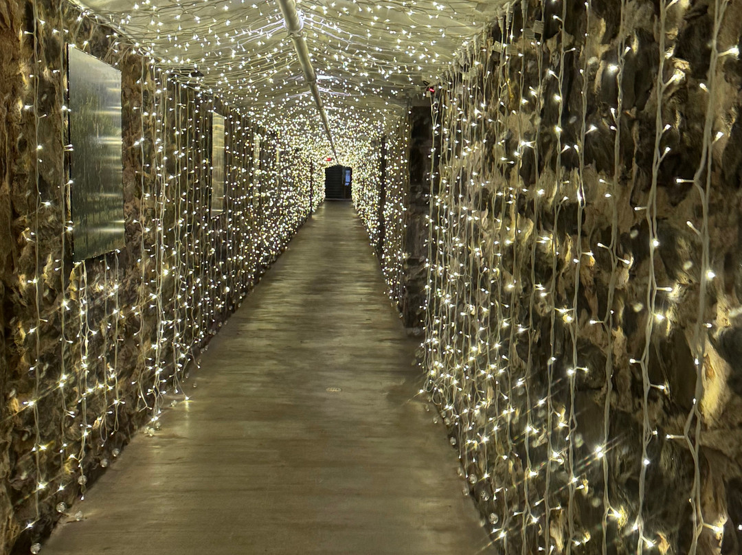 Biltmore Winery景点图片