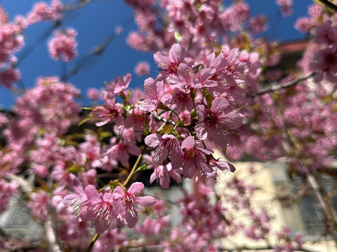 官渡古镇-昆明市必去景点