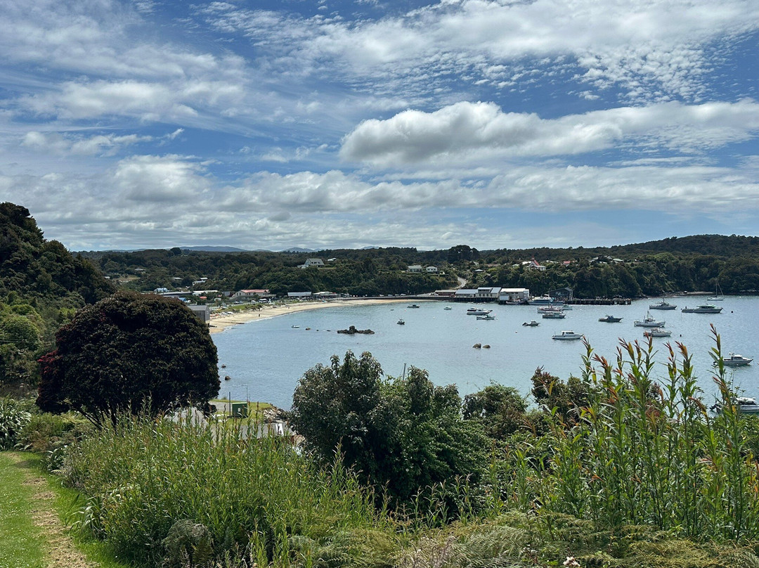 Rakiura Track景点图片