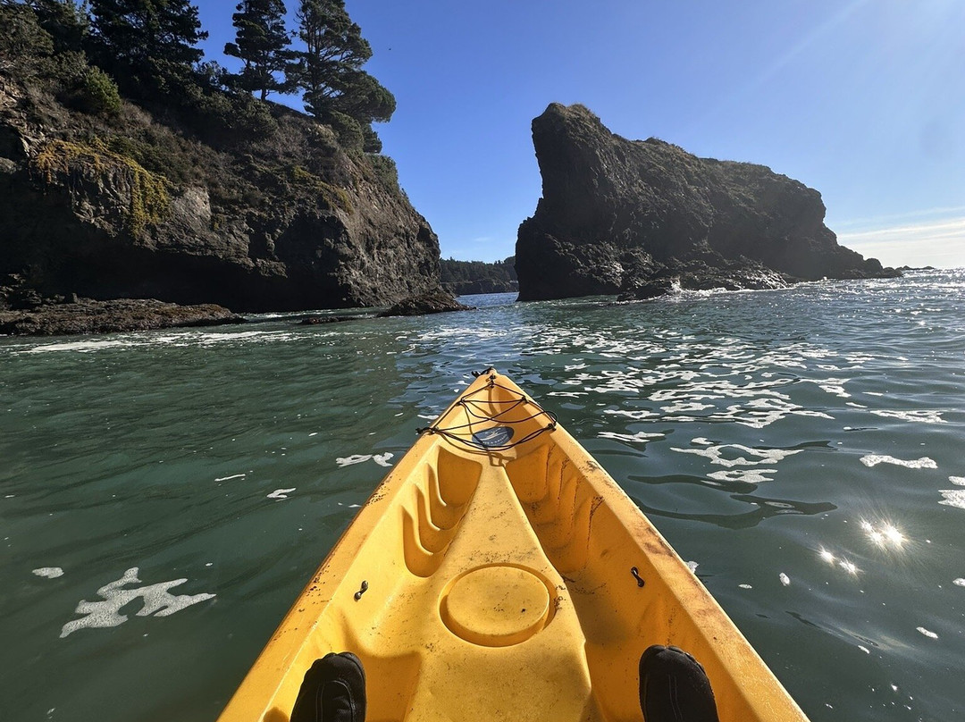 Kayak Mendocino景点图片