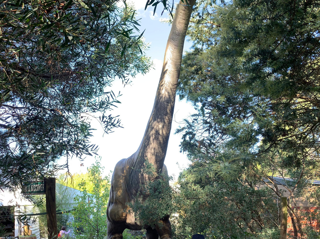 Dinosaur World景点图片