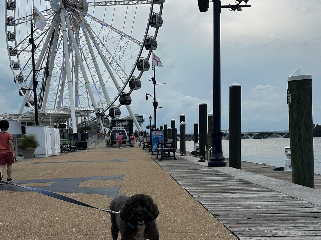 National Harbor Marina-国家港口必去景点