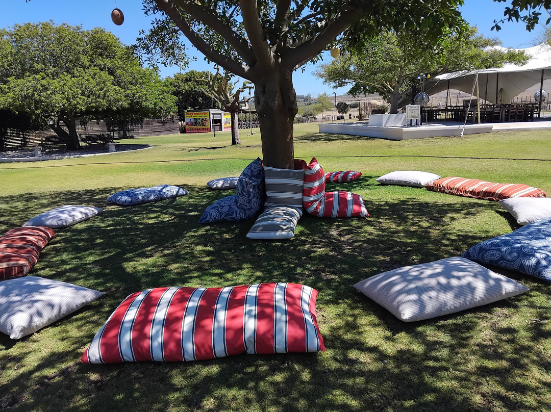 Cape Town Ostrich Ranch-开普敦中心区必去景点