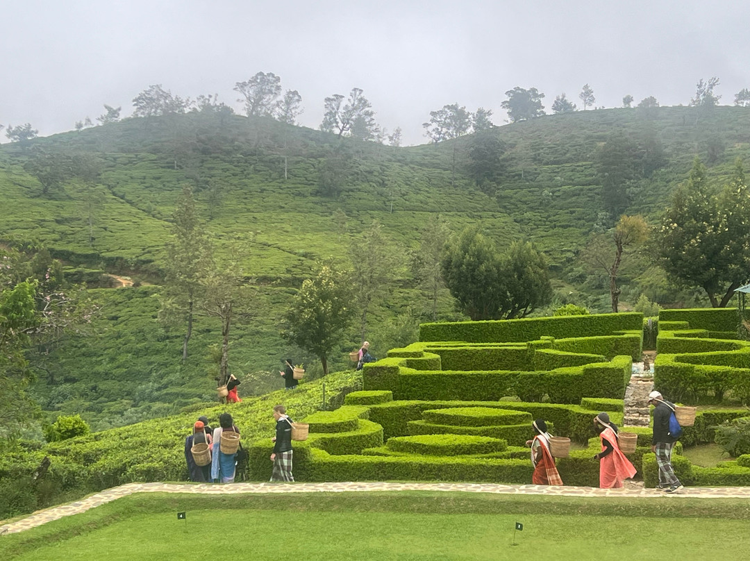 Karunakarala Travels-Waikkal必去景点