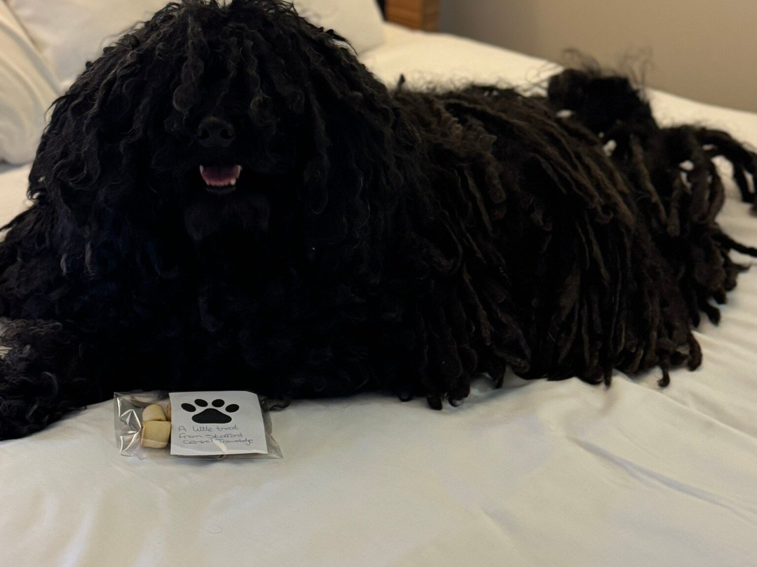 Travelodge Stafford Central Hotel主图