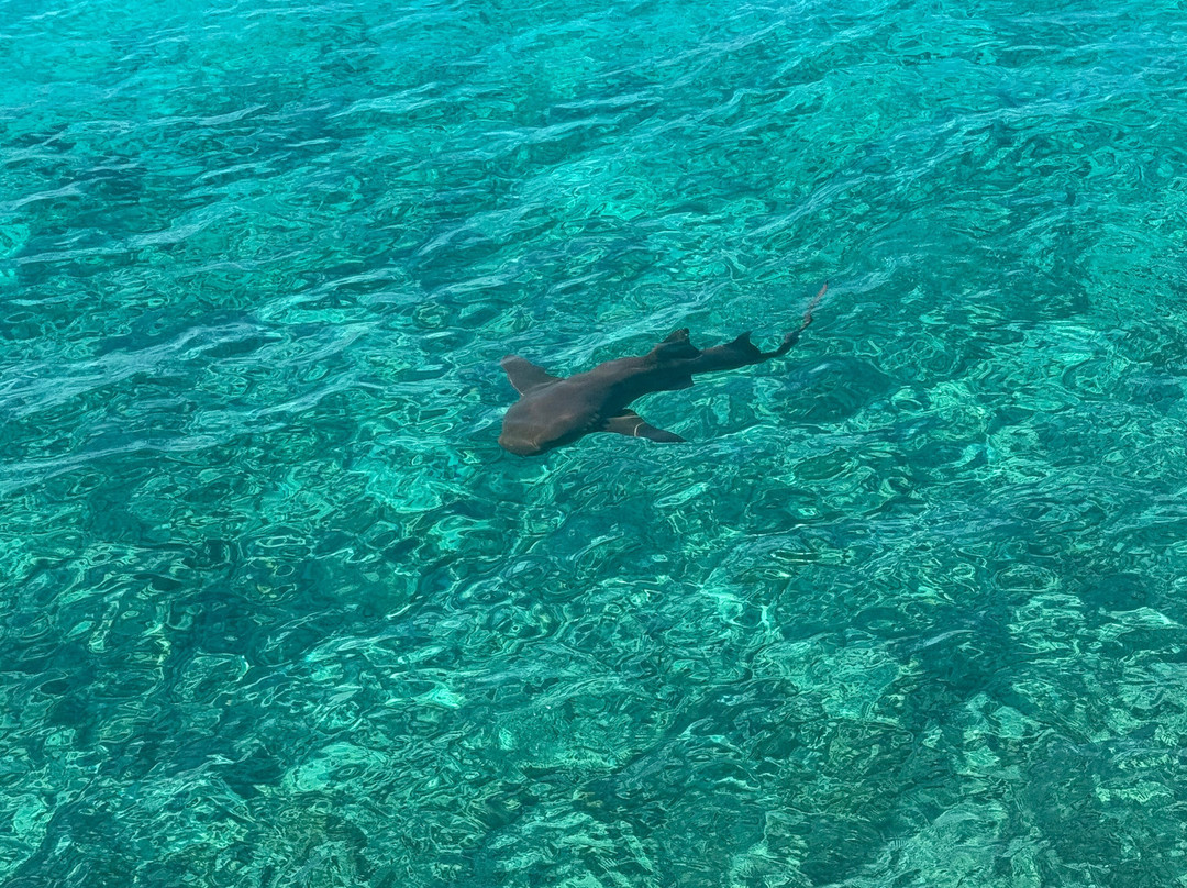 Aquaquest Escapes-George Town必去景点