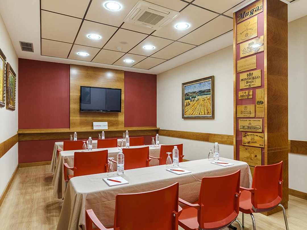 Hotel Condes de Haro主图